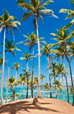 destinations sri lanka mirissa