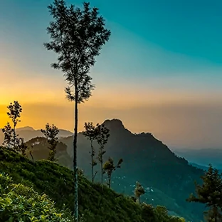 tour categories sri lanka nuwaraeliya